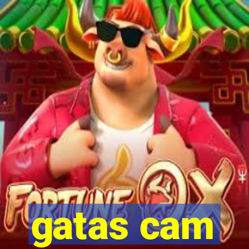 gatas cam